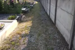 99
